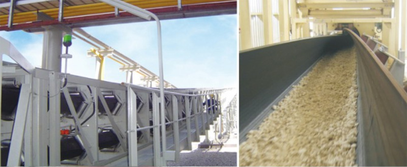 1748832237914904.jpg 青青草网站輸送機2.jpg