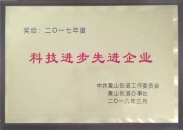 科技進步先（xiān）進企業